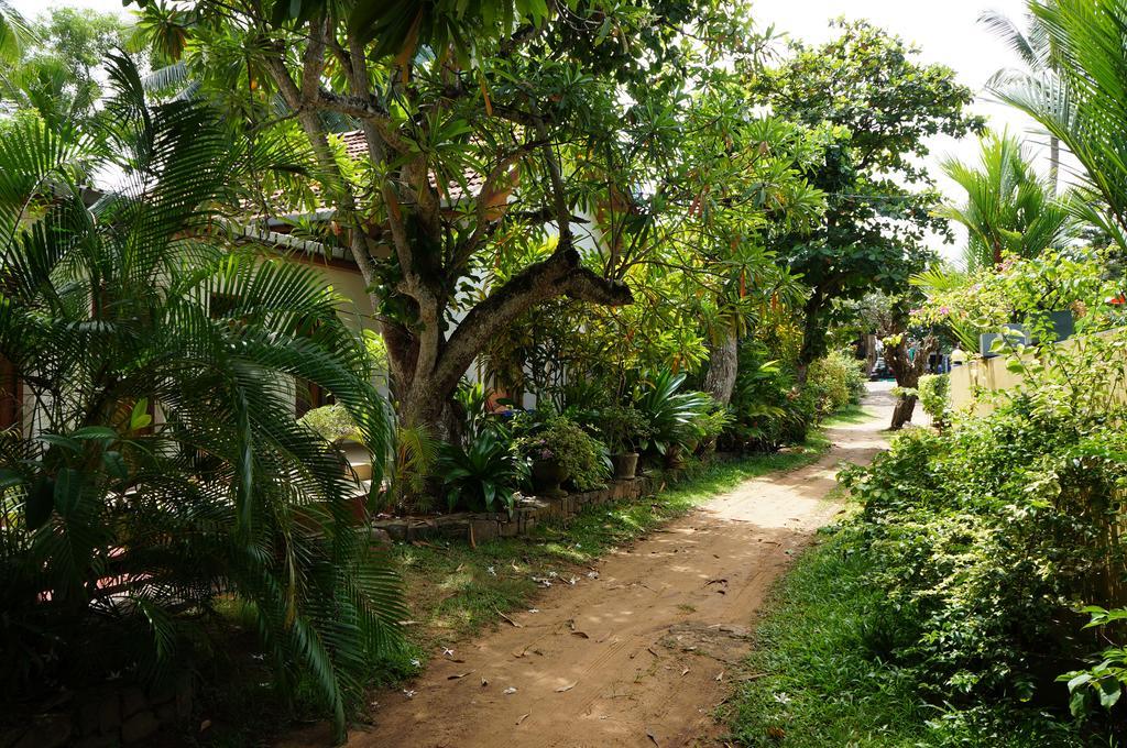 Tandem Guesthouse Hikkaduwa Esterno foto