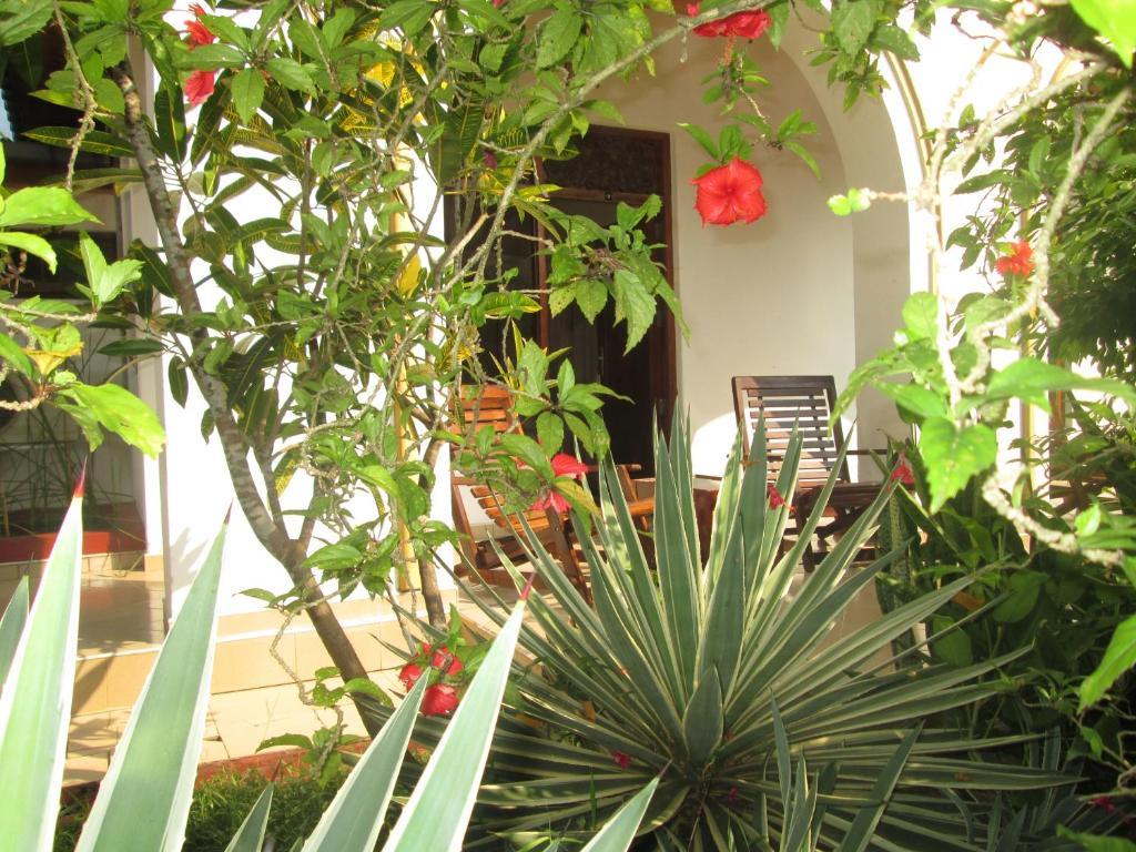 Tandem Guesthouse Hikkaduwa Esterno foto