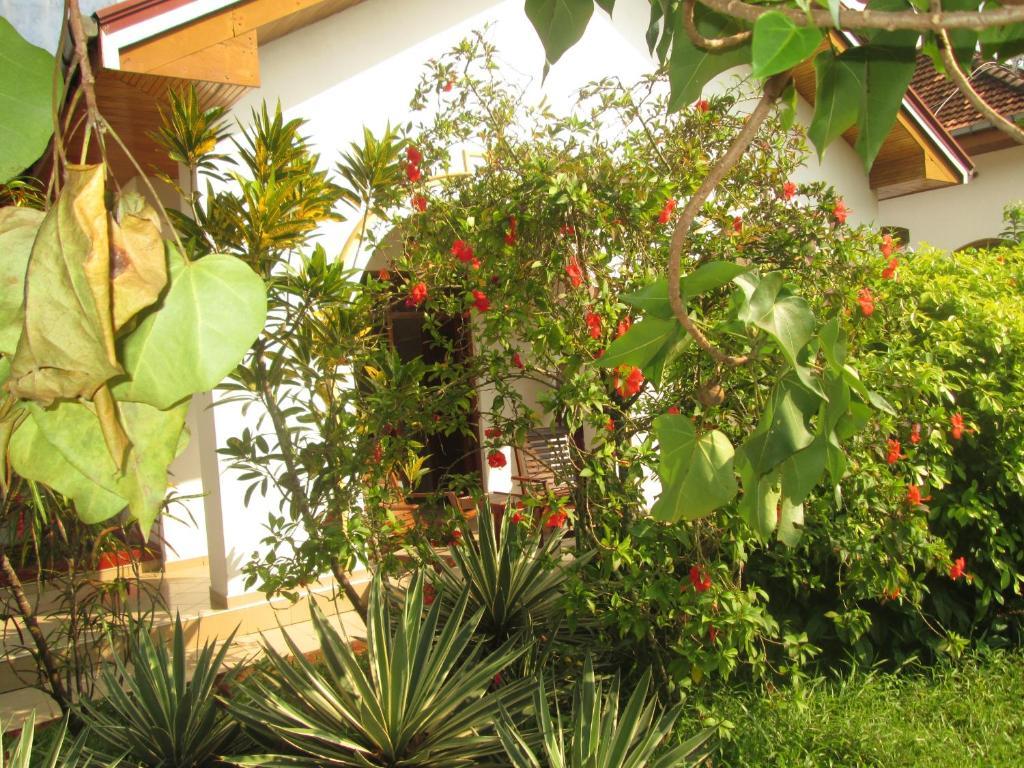 Tandem Guesthouse Hikkaduwa Esterno foto