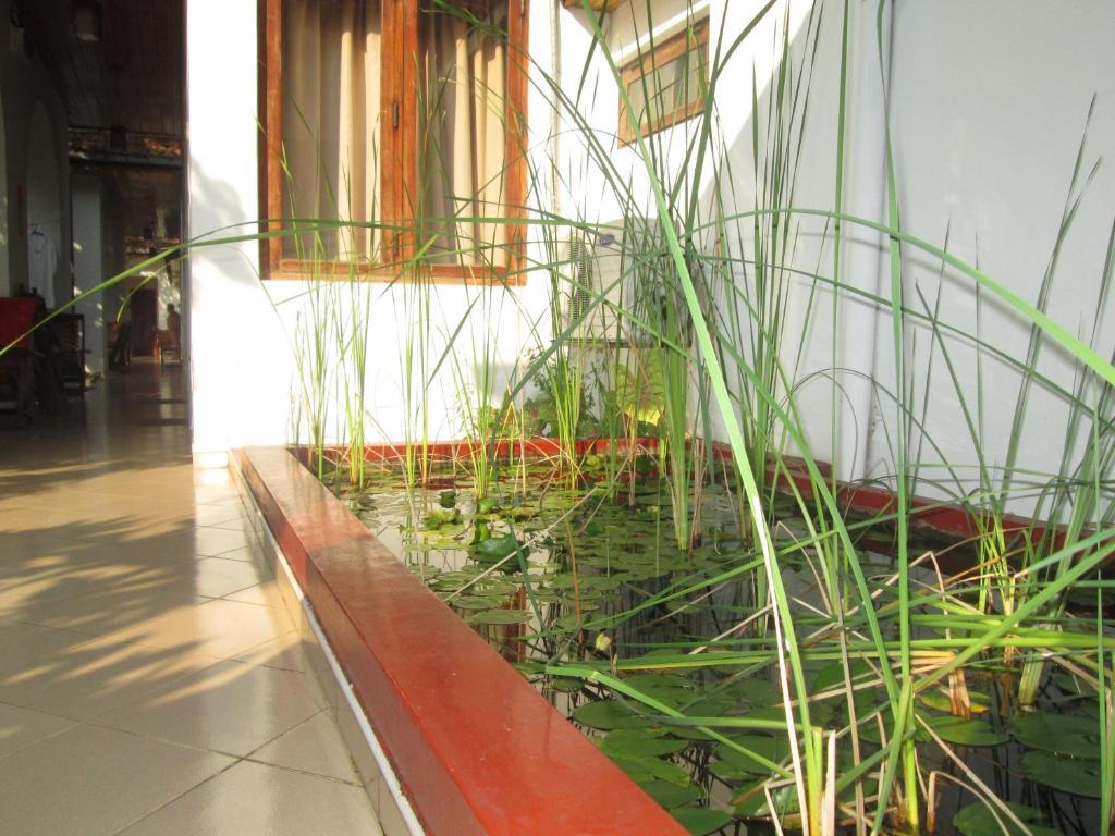 Tandem Guesthouse Hikkaduwa Esterno foto